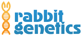 Rabbit Genetics